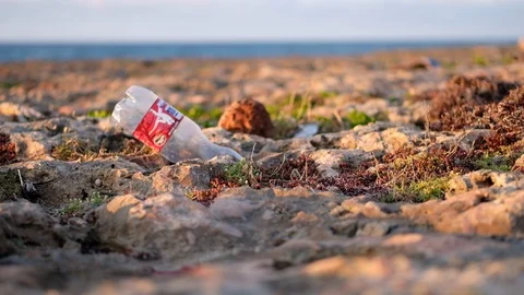 Ecology: Plastic Pollution On The Beach Stock Footage 105902114
