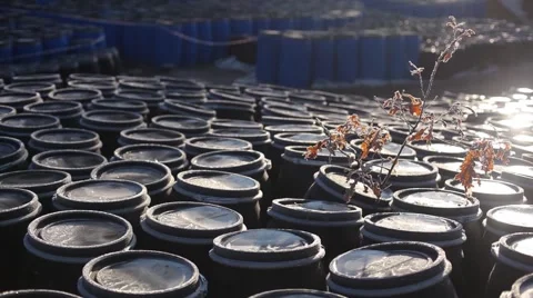 Ecology, pollution, clean, green world, the damage scale Stock Footage 49072012