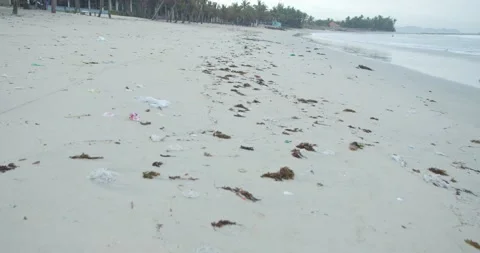 Ecology problem. Shows trash and plastic trash bags strewn across the beach Stock Footage 148330264