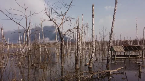 Ecology problems dead lake of smoke and a fire in an industrial area of the city Stock Footage 258406679