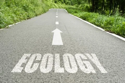 Ecology on the road Stock Illustration