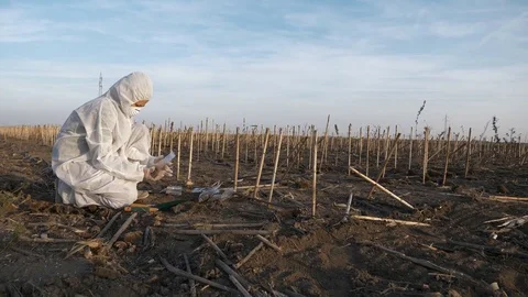 Ecology Specialist On A Field Work Stock Footage 85404362
