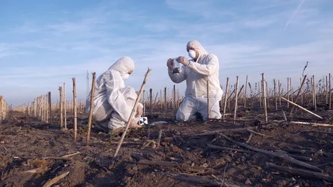 Ecology Specialists On A Field Work Stock Footage 85387170