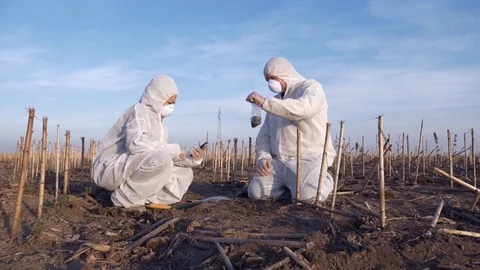 Ecology Specialists On A Field Work Stock Footage 85390369