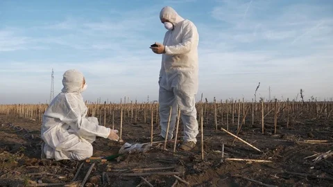 Ecology Specialists On A Field Work Stock Footage 85393761