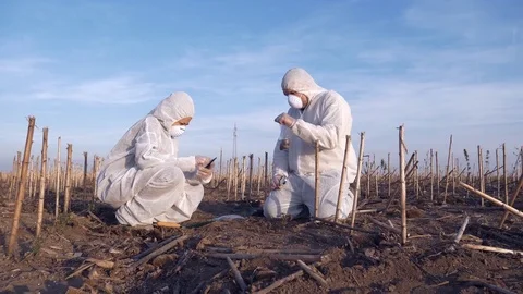 Ecology Specialists On A Field Work Stock Footage 85403365