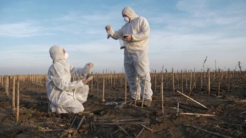 Ecology Specialists On A Field Work Stock Footage 85417900