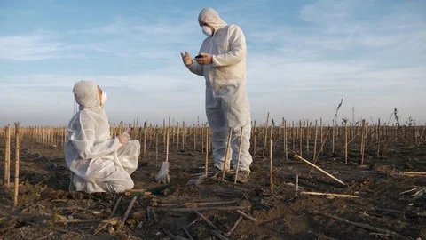 Ecology Specialists On A Field Work Stock Footage 85418925