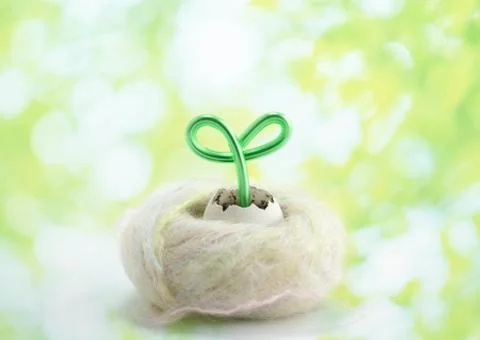 Ecology of sprout from eggshell Stock-Fotos