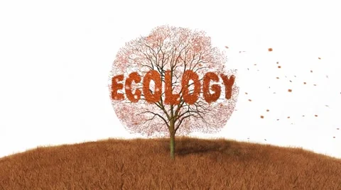 Ecology text on the tree, falling leaves Stock Footage 43736381