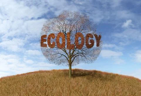 Ecology text on a tree Stock Illustration