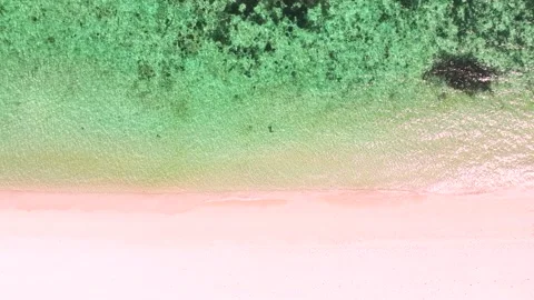 The ecology with a wave water on the beach Stock Footage 200456063