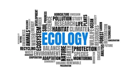 Ecology word cloud typography motion graphic with environmental terms Stock Footage 343780213