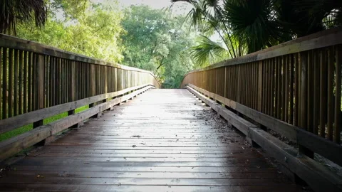 Econ River Bridge Cross Stock Footage 133389973