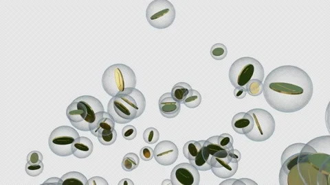Economic speculative bubble concept Stock Footage 149080399