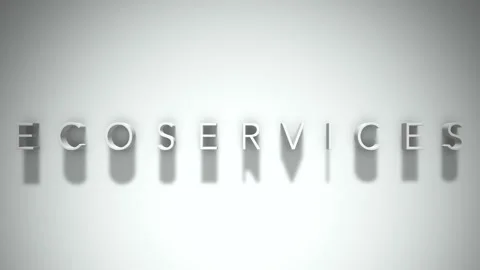 Ecoservices 3D title animation with shadows on a white background Stock-Footage 296519454