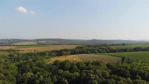 Ecosystem from the air. Green Trees, Hills and Fields in Summer Stock Footage 170757663