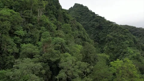 Ecosystem and healthy environment Stock Footage 167443010