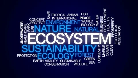 Ecosystem animated word cloud, text desi... | Stock Video | Pond5