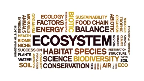 Ecosystem animated word cloud,animation tag kinetic typography seamless loop. Stock Footage 317682127