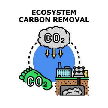 Ecosystem carbon removal concept for environmental protection Stock Illustration