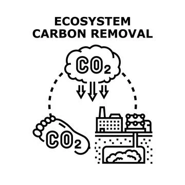 Ecosystem carbon removal concept for environmental protection Stock Illustration