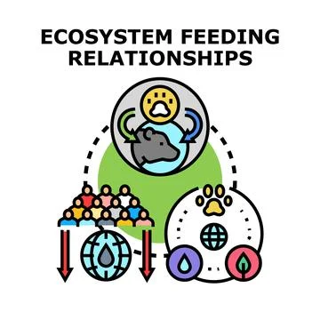 Ecosystem feeding relationships concept vector illustration drawing Stock Illustration