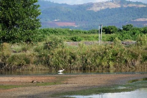 Ecosystem landscape Stock Photos