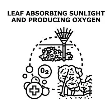 Ecosystem maintaining balance with oxygen production Stock Illustration