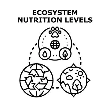 Ecosystem nutrition levels representing balanced environmental cycles Stock Illustration