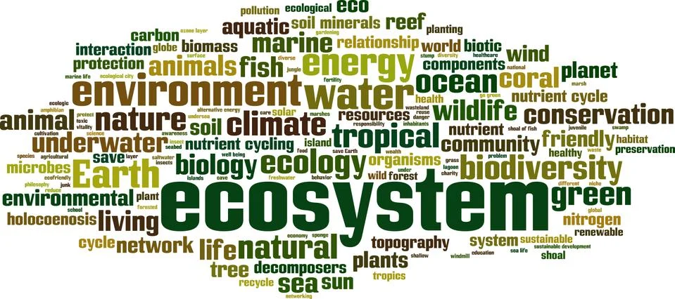 Ecosystem word cloud Stock Illustration