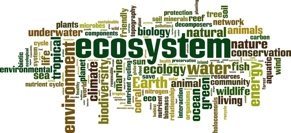 Ecosystem word cloud Stock Illustration