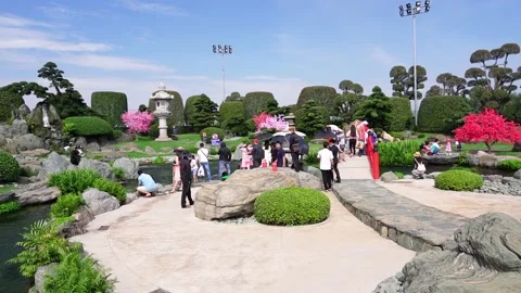 Ecotourism garden in  designed Stock Footage 155826297