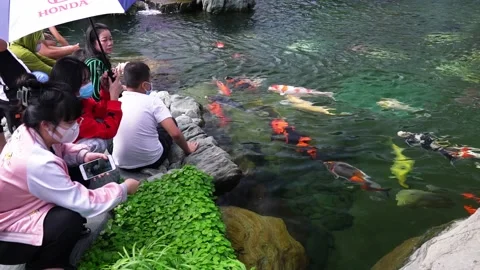 Ecotourism garden in  designed Stock Footage 155826376