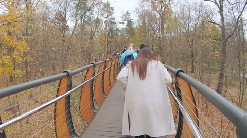 Ecotropic in the area of the Wildlife Video stock 118079301