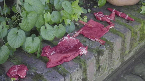 Ecru fabrics dyed with shade-drying tie dye technique Stock Footage 141528903