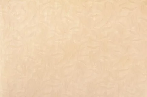 Ecru pattern parchment texture Foto stock