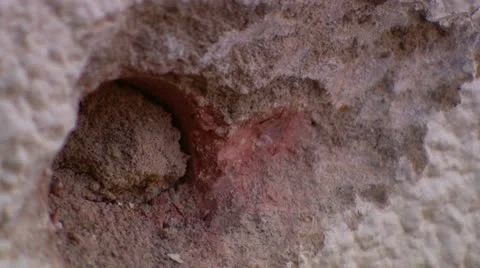 ECU of hole in wall Stock Footage 11987021