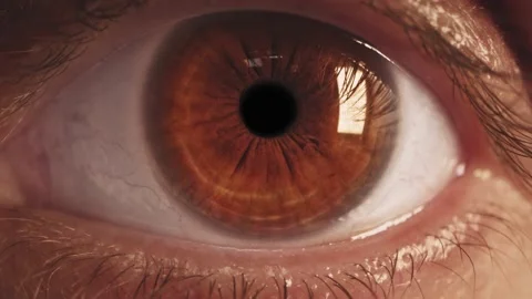 ECU Lid of a brown eye closing Stock Footage 149310191