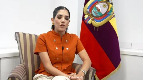 Ecuador aims to attract 3 million tourists by 2030 with the US as its main sourc Stock Footage 337733312