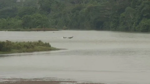 Ecuador, Amazon, Río Napo River, Outboard Boat Crosses River LS Stock Footage 46079439