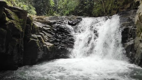 Ecuador Amazonia 5 Stock Footage 153338380