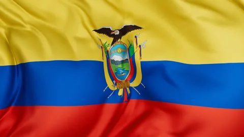 Ecuador cloth flag background loop Stock Footage 310849099