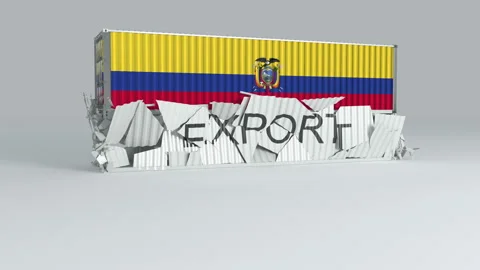 Ecuador container with the flag falls on top of a container labeled EXPORT Stock Footage 124446371