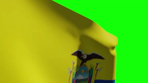 Ecuador Flag Close Stock Footage 134520712
