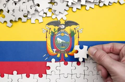 Ecuador flag  is depicted on a table on which the human hand folds a puzzle o Foto stock