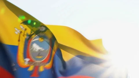 Ecuador Flag Flapping Stock Footage 118961575