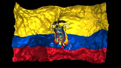Ecuador flag Stock Footage 110800834