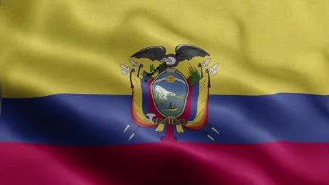 Ecuador flag Front Stock Footage 318677489