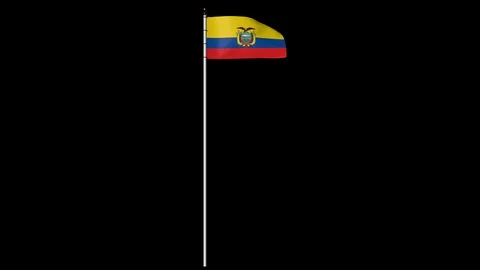 Ecuador Flag on Pole with Alpha Channel 库存影片 87235224